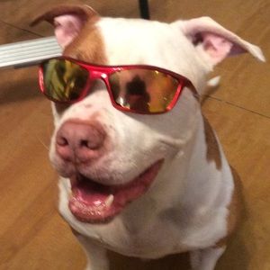 Meet your Posher, Isabel